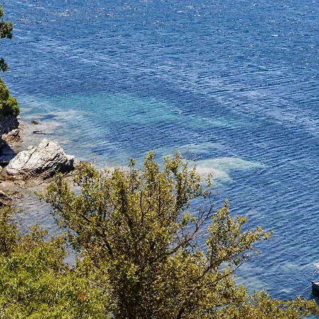 The Sea House *